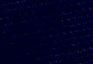 Stop Light Shades - Blue Stop Light Shades - Blue